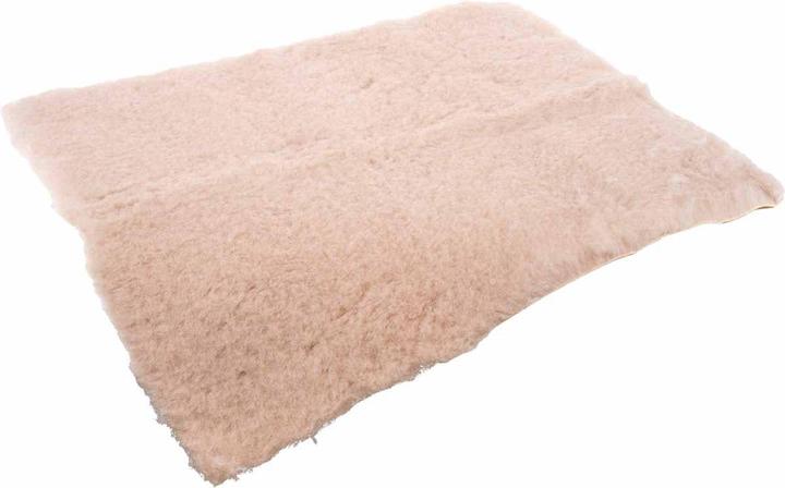 Actual product image Ozami - Dry Bed Mat - Beige - 60x45cm (Dog)