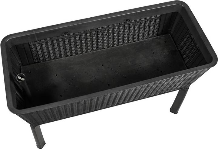 Actual product image Keter Easy Growing