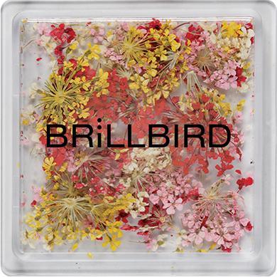 BrillBird Floral Art Mix - Sunrise (Nagellackentferner, Sunrise)