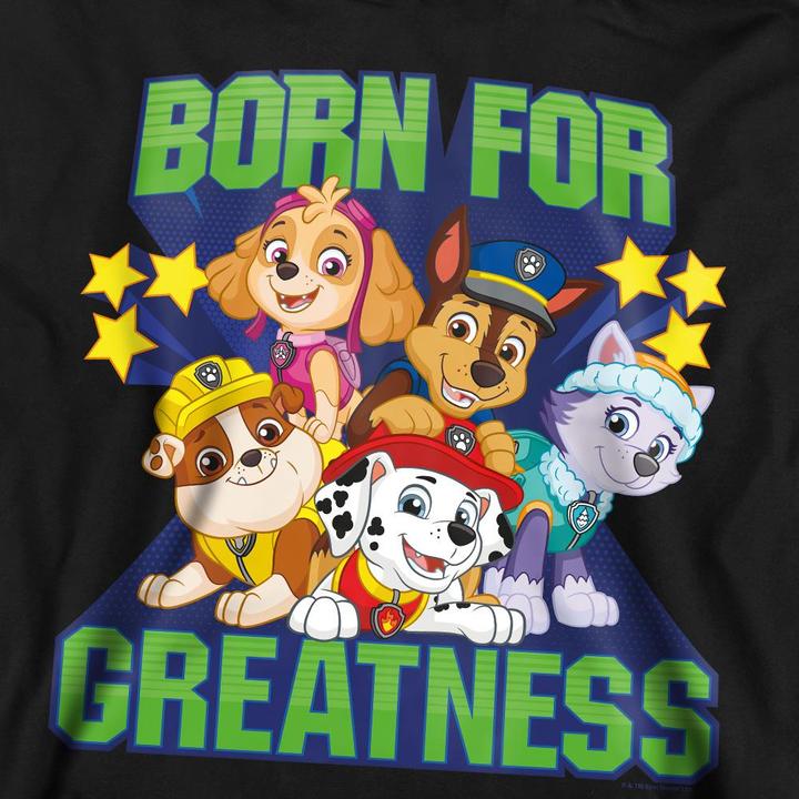 Produktbild Paw Patrol Born For Greatness Sweatshirt (XXL)