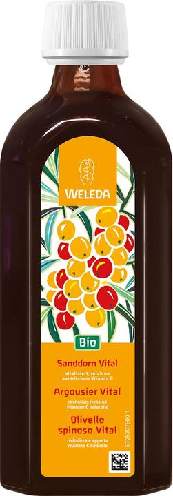Actual product image Weleda Sea Buckthorn Vital Juice (1 Piece, Liquid, 553 g)