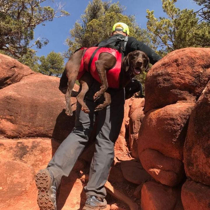 Actual product image Fido Pro Airlift (L, Dog vest)