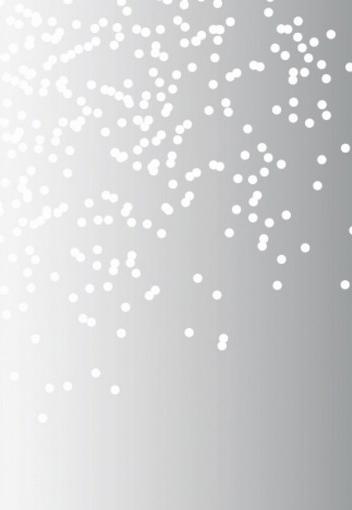 Immagine prodotto Pebeo Decospray Glitter (Argento brillante, 200 ml)