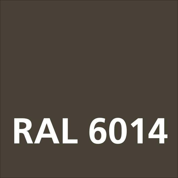Image du produit Dupli-Color Peinture acrylique mat RAL 6014 olive jaune (Olive jaune, 0.40 l)