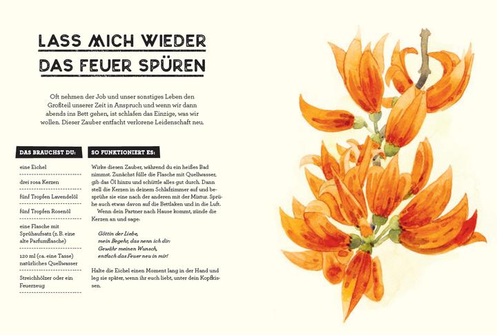 Produktbild Das kleine Handbuch der Magie und Hexerei (Deutsch, Midia Star, 2019)