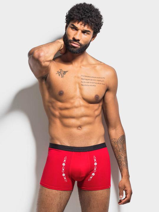Immagine prodotto ISA Bodywear Panty Andy (XL, Confezione singola)
