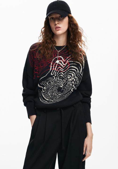 Actual product image Desigual sweater desigua tououse acroix (L)