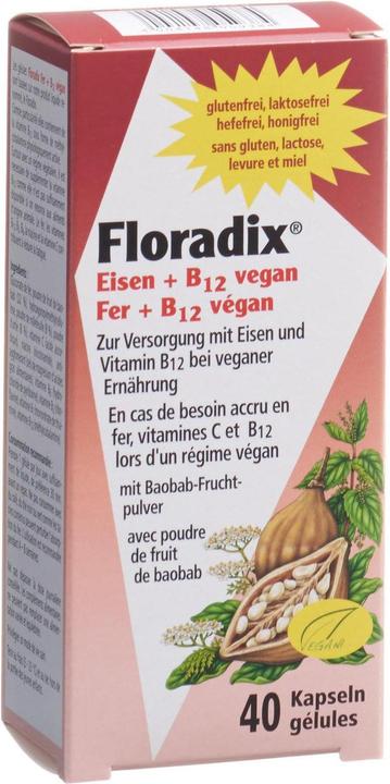Actual product image Floradix Iron and B 12 Vegan (40 Piece, Capsules, 37 g)