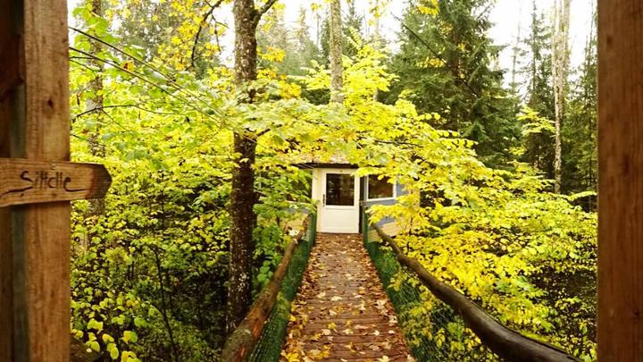 Image du produit Nuitée dans une cabane dans les arbres (2 pers.)