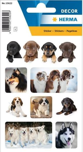 Image du produit HERMA Sticker Chiens