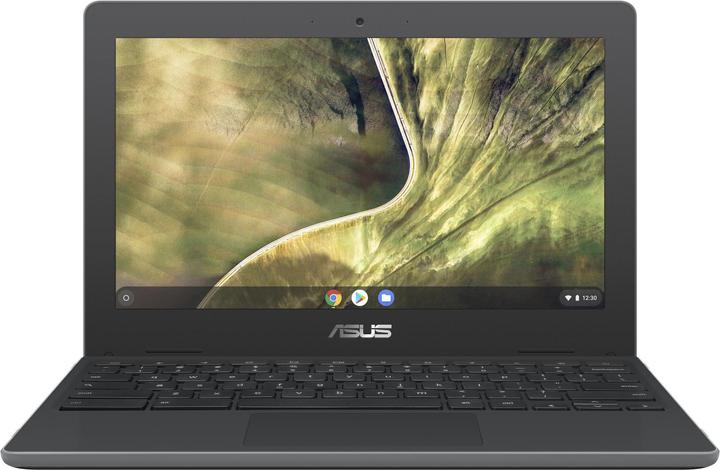 ASUS Chromebook – C204MA-GJ0023 (11.60", Intel Celeron N4000, 4 GB, CH)
