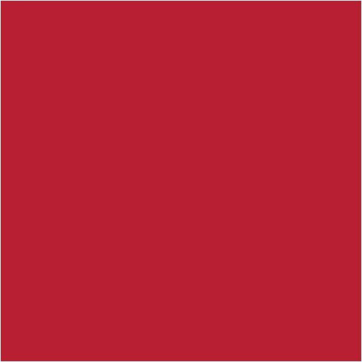Actual product image Cricut Aufbügelfolie Smart Iron-On 33 x 91.4 cm, Rot