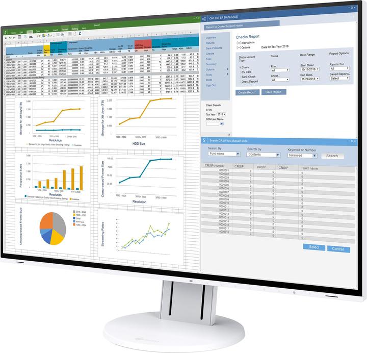 Eizo EV2457 (1920 x 1200 pixel, 24")