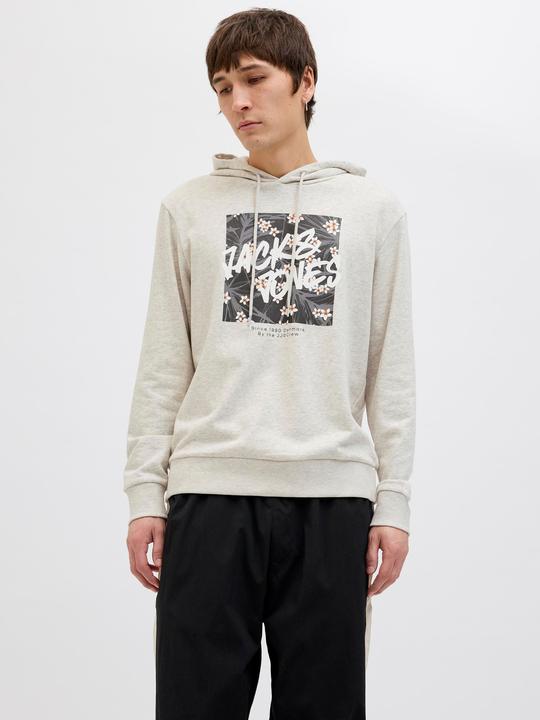 Image du produit Jack & Jones Logo Sweat à capuche Sweat à capuche (XXL)