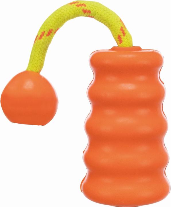Image du produit Trixie Dog Activity Mot-Fun 9cm/22cm (Apporter)