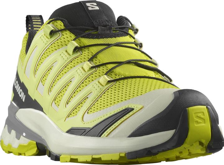 Image du produit Salomon XA Pro 3D V9 (42)