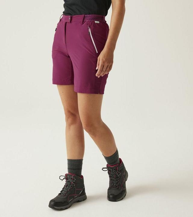Actual product image Regatta Mountain Shorts II (S)