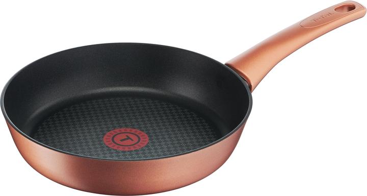 Actual product image Tefal Chef's Delight (Frying pan)