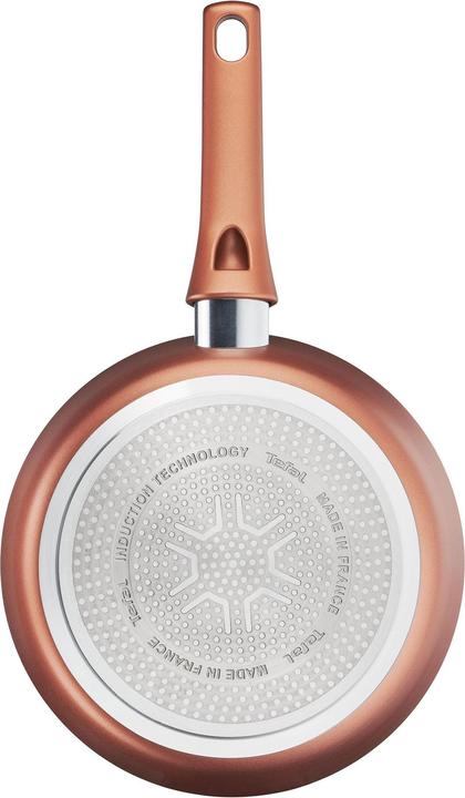 Actual product image Tefal Chef's Delight (Frying pan)