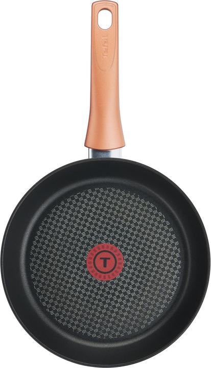 Actual product image Tefal Chef's Delight (Frying pan)