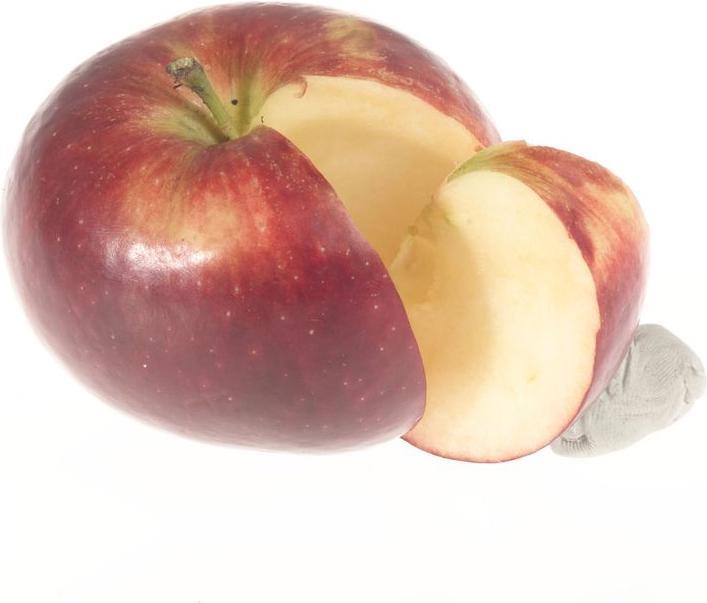 Image du produit Lubera Deux pommiers en colonne pour le bac