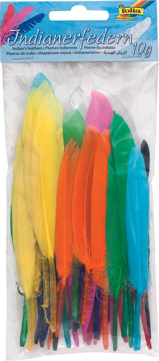 Immagine prodotto Folia Piume indiane, 10 g, colori assortiti