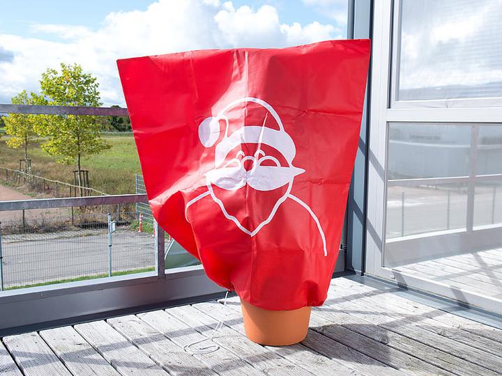 Produktbild Infactory 4er-Set Winterschutz-Haube "Weihnachtsmann" für Pflanzen, 110 x 120 cm