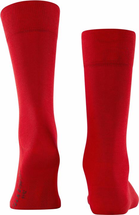 Actual product image Falke Cool 24/7 SO (Single pack, 39 - 40)