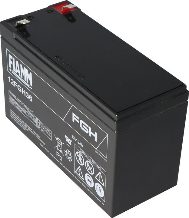 Actual product image Fiamm Akku 12FGH36