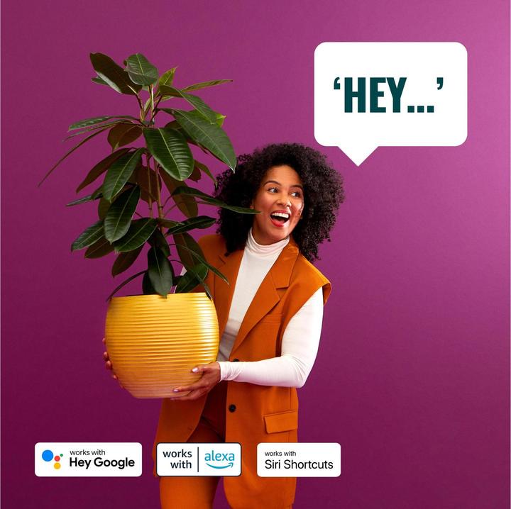 Actual product image WiZ Colors