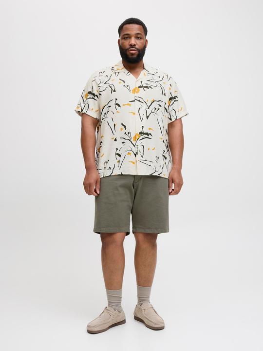 Immagine prodotto Jack & Jones Plus Size Relaxed Fit Hemd Hemd (4XL)