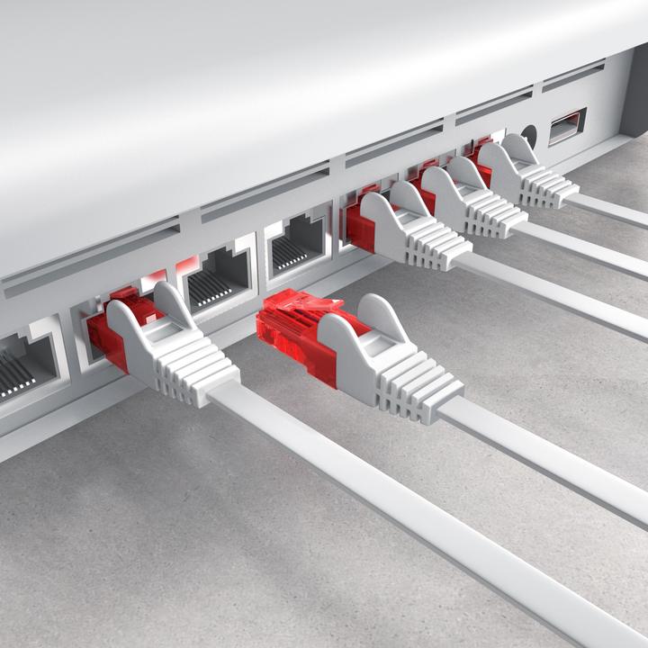 Image du produit CSL Câble réseau CAT.6 plat - Câble Ethernet Gigabit Lan RJ45 - Comp. CAT.5 CAT.6 CAT.7 CAT.8 (UTP, CAT6, 10 m)