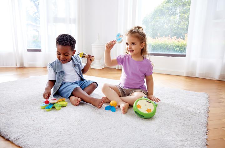 Actual product image Hape Nature rhythm kit (German)