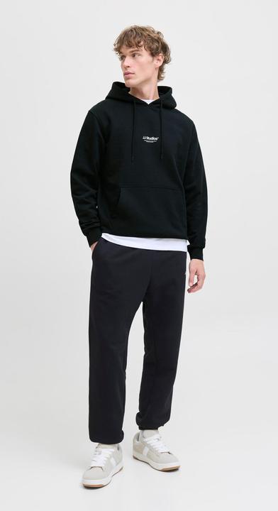 Actual product image Jack & Jones Jjesoho Sweat Hood Noos (S)