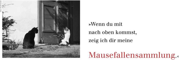Produktbild Der literarische Katzen Wochenplaner 2025 (Deutsch)