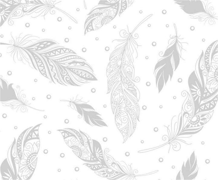 Image du produit Ursus Papier magique Plumes (250 g/m², 10 x)