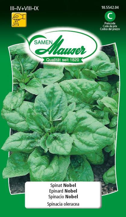 Actual product image Samen Mauser Spinach Nobel (Vegetable seeds)
