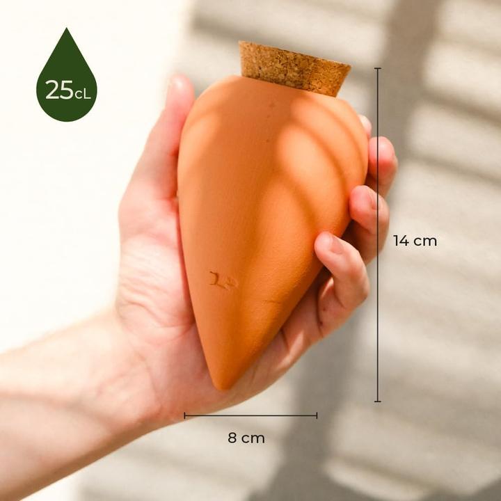 Image du produit Pepin Bewässerungskegel Olla Terrakotta (2er Set) (Cône d'argile)