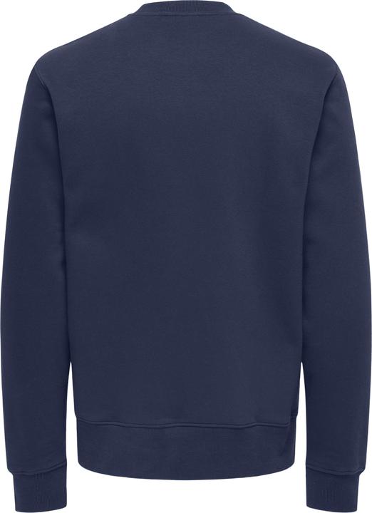 Actual product image Only & Sons ONSDAWSON Sweatshirt Sweatshirt (L)
