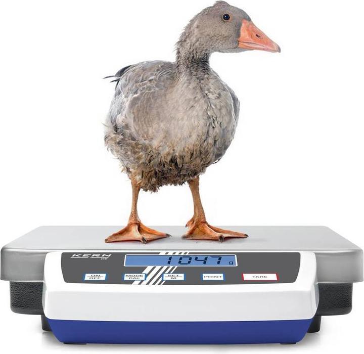 Produktbild Kern Plattform scale