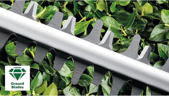Produktbild Bosch Home & Garden Heckenschere EasyHedgeCut 55 (Elektroheckenschere)