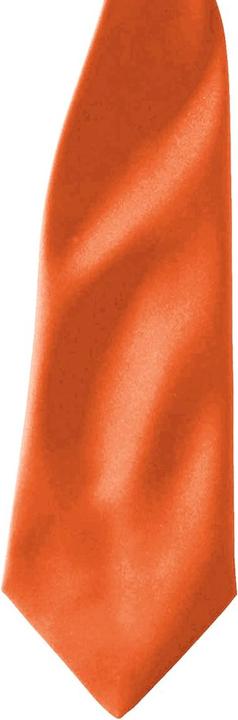 Image du produit Premier Cravate en satin à clipser (paquet de 2)