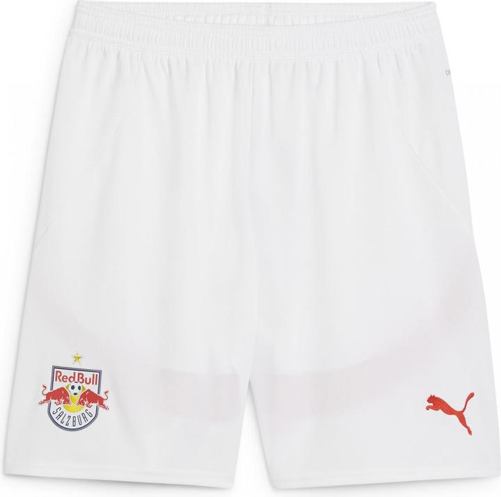 Puma RBS Shorts Replica