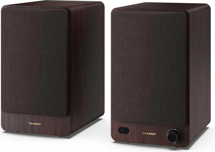 Sharp CP-SS30 (1 Paar, 60 W)