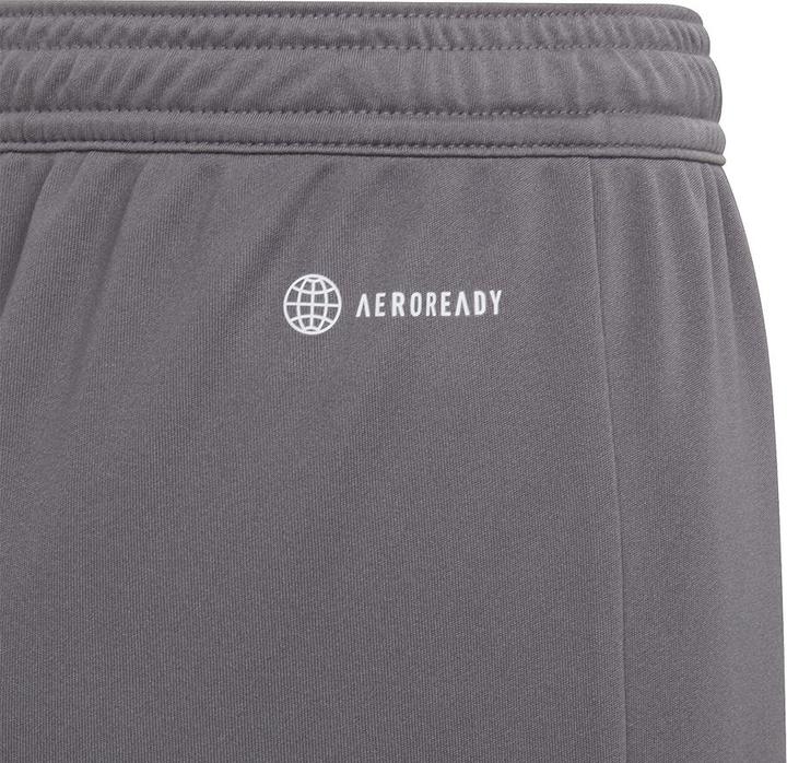 Image du produit adidas Entrada 22 Shorts (128)