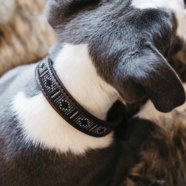 Produktbild Kentucky Dogwear Hundehalsband Handgemacht Pearls (L, Hund)