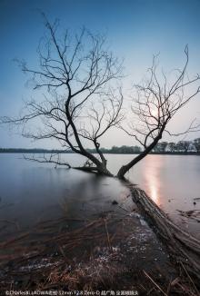 Image du produit Venus Optic Laowa 12mm f/2.8 Zero-D Sony E (Sony E, Plein format)