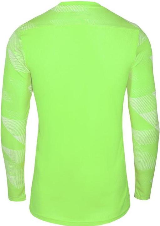Actual product image Nike Dri-Fit Park 4 Goalkeeper Volt/White/Black L (L)