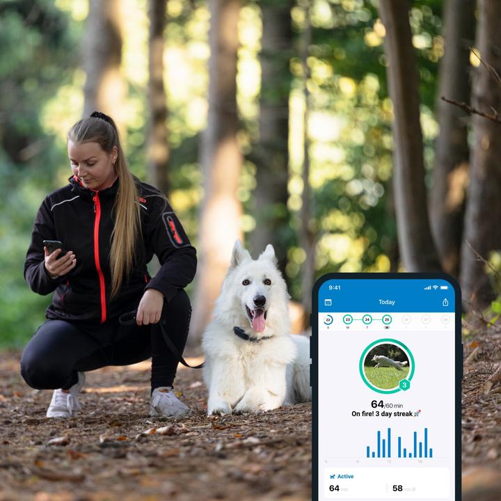 Produktbild Tractive Dog 4 GPS Tracker für Hunde (Katze, Hund, Spazieren)