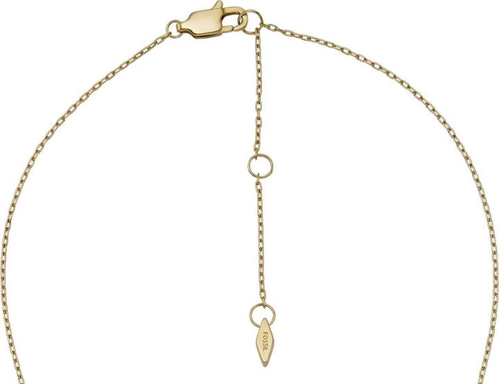 Immagine prodotto Fossil Collana Sadie (Acciaio inossidabile, 47 cm)